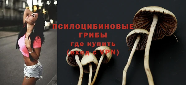 ALPHA PVP Вязьма