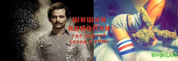 метадон Вяземский