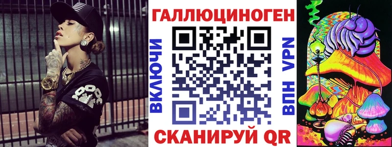 Галлюциногенные грибы Psilocybine cubensis  блэк спрут зеркало  Махачкала 